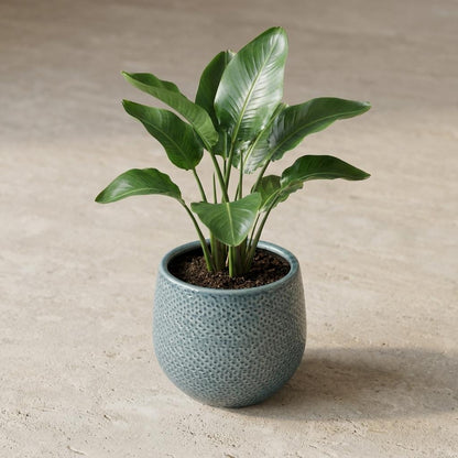 Pot Gabriel Rond Blauw - Ø 14cm