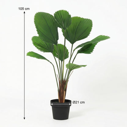 XL Kunstplant - Licuala Grandis - Hoogte ↕ 104cm
