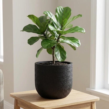 Pot - Nature Skin Bol Antraciet - Ø 17cm x H 15cm