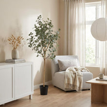 Kunstplant - Eucalyptus - Hoogte ↕ 180cm