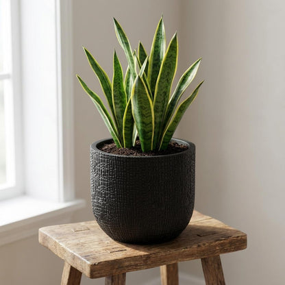 Sierpot - Nature Skin Pot Bol Antraciet - Ø 14cm x H 13cm