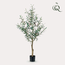 Kunstplant - Olea europaea Olijfboom - Hoogte ↕ 115cm