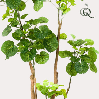 Kunstplant - Polyscias Aralia - Hoogte ↕ 135cm