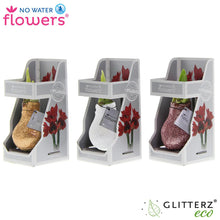 Kamerplant 3x Glitterz Charm Mix - Gift Box - Pot Ø 7cm Hoogte ↕ 15cm