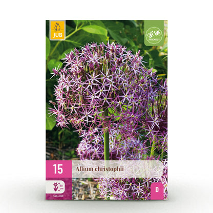 Buitenplant 15x Allium Christophii - Bloeiend - Bolmaat 10/2
