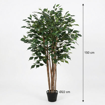XL Kunstplant - Ficus Benjamina - Hoogte ↕ 150cm