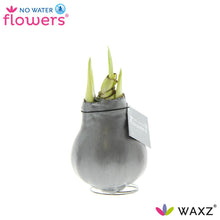 Kunstplant - Waxz Metallic Silver - Hoogte ↕ 15cm