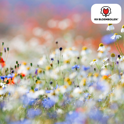 Wilde Bloemenzaad Mengsel - 100 gram - voor Bijen en Vlinders