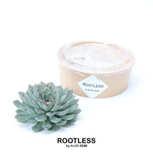 Kamerplant - ROOTLESS Succulent Echeveria Pulidonis - Pot Ø 12-14cm Hoogte ↕ 5cm