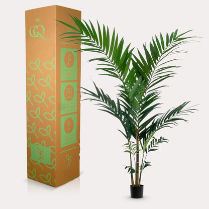 Kunstplant - Kentia Kentiapalm - Hoogte ↕ 150cm