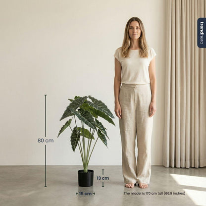 Kunstplant - Alocasia - Hoogte ↕ 80cm