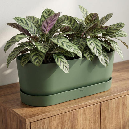 Pot - Greenville Easy Balcony - Bladgroen - Ø 25cm