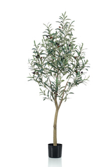Kunstplant - Olea europaea Olijfboom - Hoogte ↕ 140cm