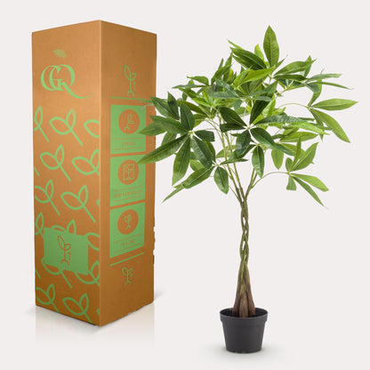 Kunstplant - Pachira aquatica Geldboom - Hoogte ↕ 90cm