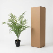 Kunstplant - Kentia Palm - Hoogte ↕ 65cm