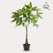 Kunstplant - Pachira aquatica Geldboom - Hoogte ↕ 90cm