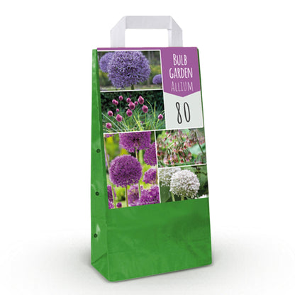Bloembollen - Allium Mix - Diverse Kleuren - 80 stuks - Geschenkverpakking