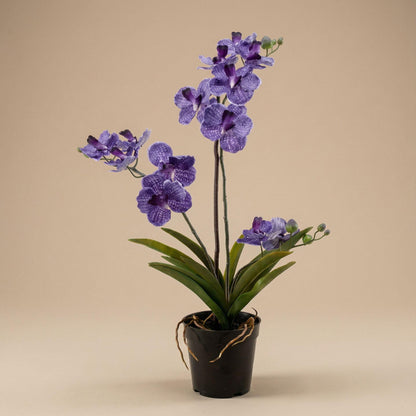 Kunstplant - Orchidee Vanda - Paars - In pot - Hoogte ↕ 60cm