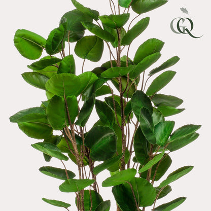 Kunstplant - Polyscias Aralia - Hoogte ↕ 105cm