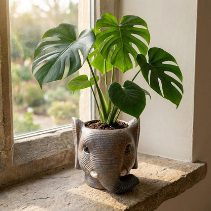Sierpot - Planter Olifant Grijs - D11/12cm x H10cm