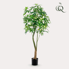 XL Kunstplant - Pachira Aquatica Geldboom - Hoogte ↕ 180cm