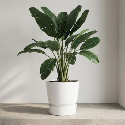 Sierpot - Ronde Buitenpot 30cm - Wit