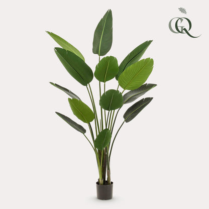 XL Kunstplant - Strelitzia Nicolai Paradijsvogelbloem - Hoogte ↕ 190cm