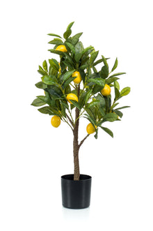 Kunstplant - Citrus Limonia Citroenboom - Hoogte ↕ 75cm