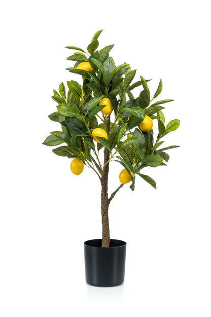 Kunstplant - Citrus Limonia Citroenboom - Hoogte ↕ 75cm