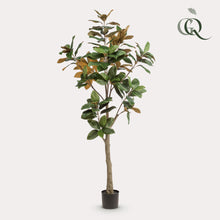 Kunstplant - Magnolia Grandiflora - Hoogte ↕ 180cm