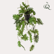 Kunstplant - Philodendron Klimmende boomliefhebber - Hoogte ↕ 80cm