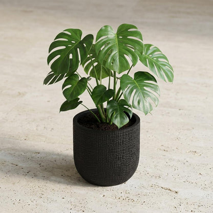 Pot - Nature Skin Bol Antraciet - Ø 17cm x H 15cm