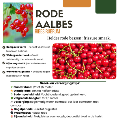 Buitenplant - Fruitplanten mix BIO - 5 verschillende soorten, biologisch gekweekt