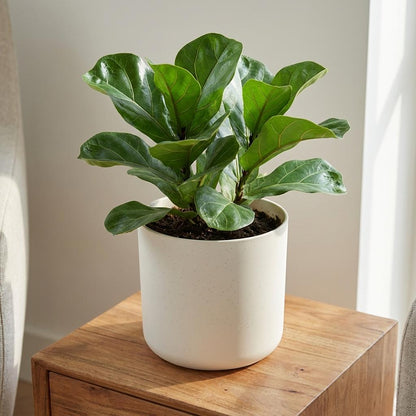 Sierpot - b.for soft rond 35cm - Wit