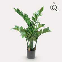 Kunstplant - Zamioculcas Kamerpalm - Hoogte ↕ 70cm