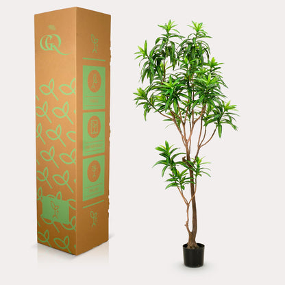 Kunstplant XL - Dracaena Drakenboom - Hoogte ↕ 190cm