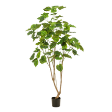 XL kunstplant - Ficus umbellata - Afrikaanse vijg - Hoogte ↕ 180cm
