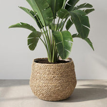 Mand Jorck Bruin - Ø26cm