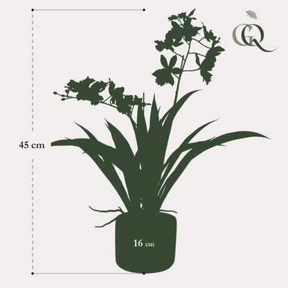 Kunstplant - Orchidee Wit - Hoogte 45cm