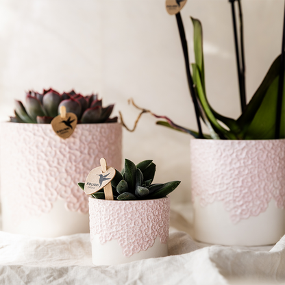 Sierpot - Bloom Sierpot Pink - Ø12cm