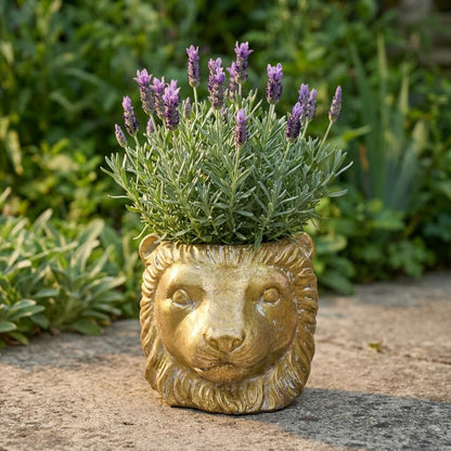 Pot - Planter Leeuw - Goud - Ø 11/13cm Hoogte 10cm