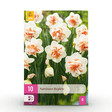 Buitenplant 10x Narcis Replete - Bloeiend - Bolmaat 10/12