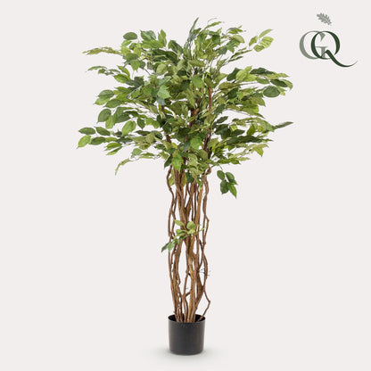 Kunstplant - Ficus liana Vioolbladplant - Hoogte ↕ 140cm