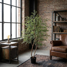 XL Kunstplant - Cassia Boom - Hoogte ↕ 180cm