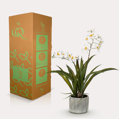 Kunstplant - Orchidee Wit - Hoogte 45cm