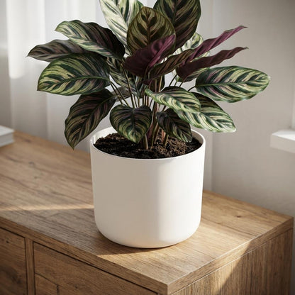 Pot - B.for Soft Wit - Ø 22cm