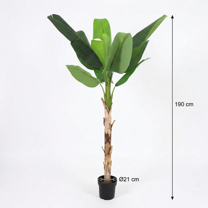 XL Kunstplant - Bananenplant Musa - Hoogte ↕ 190cm