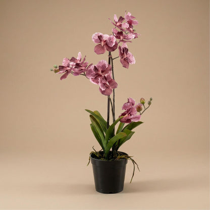 Kunstplant - Orchidee Vanda - Oudroze - In pot - Hoogte ↕ 60cm