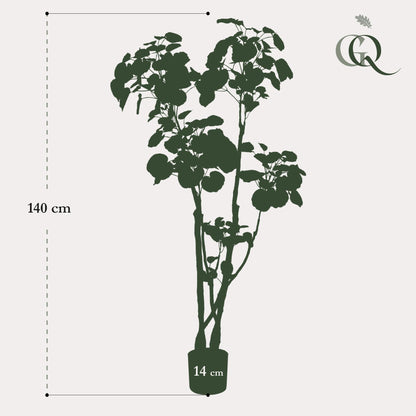 Kunstplant - Polyscias Aralia - Hoogte ↕ 135cm