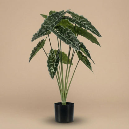 Kunstplant - Alocasia - Hoogte ↕ 80cm